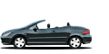 Peugeot 307 (307)