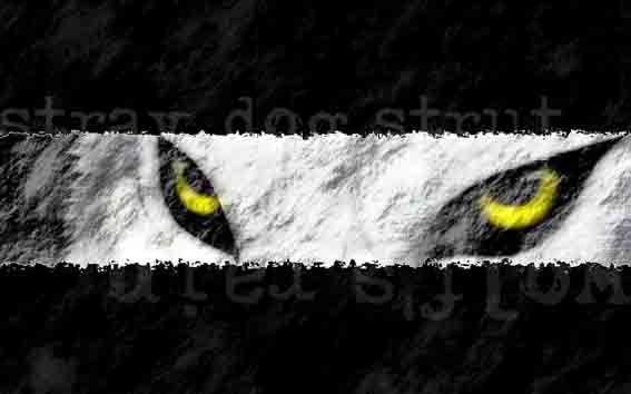 wolfmAn