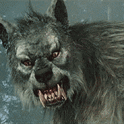 NIGHTWOLF199