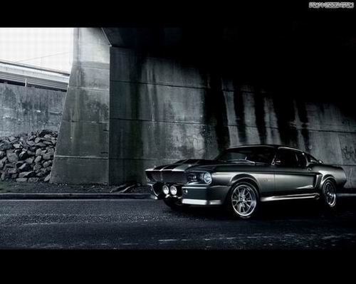 Eleanor777