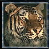 SHERHAN