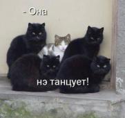Lubimaya