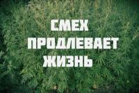 post-14344-0-25490500-1390727197_thumb.j