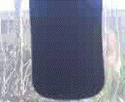 post-10712-0-81446300-1298400746_thumb.g