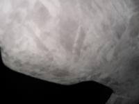 post-4549-0-61687800-1298230054_thumb.jp