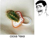 post-12669-0-28112500-1331657763_thumb.j