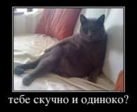 post-14432-0-62684300-1425296222_thumb.j