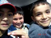 post-313-1240166568_thumb.jpg