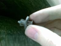 post-6025-1239881270_thumb.jpg