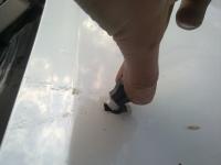 post-6025-1273859767_thumb.jpg