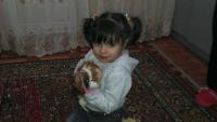 post-12931-0-57341100-1367823463_thumb.j