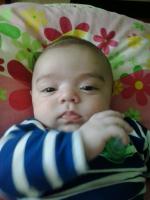 post-13040-0-45054600-1367830724_thumb.j
