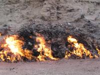 post-12326-0-46043700-1371538568_thumb.j