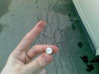 post-6025-1247036459_thumb.jpg