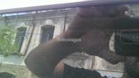 post-13126-0-61633000-1375045558_thumb.j