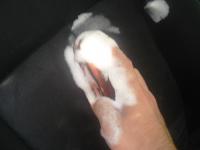 post-10712-0-13581700-1312305330_thumb.j