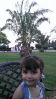 post-12931-0-97211100-1376854111_thumb.j