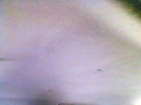 post-10712-0-41480800-1316182984_thumb.j