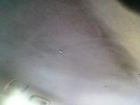 post-10712-0-48180900-1316182972_thumb.j
