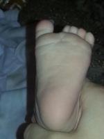 post-9789-0-17534900-1350639113_thumb.jp