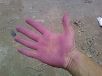 post-12198-0-75264500-1353329457_thumb.j