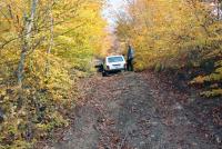 post-11445-0-34334200-1384510314_thumb.j