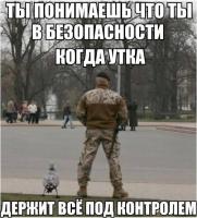post-12324-0-40916800-1384879759_thumb.j