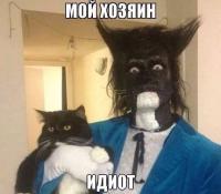 post-12324-0-58251800-1384879805_thumb.j