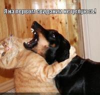 post-14057-0-92093900-1386767934_thumb.j