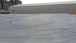 20160116_152007.thumb.jpg.8d65c27ac2d3d8