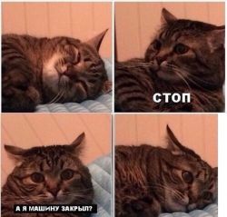 image.jpeg