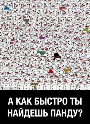 image.jpeg