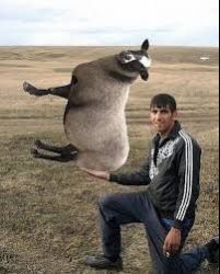 images.jpg