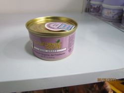 IMG_2824.JPG