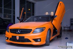 IMG_3532.jpg