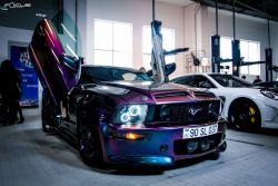 _MG_7733.thumb.jpg.933427d6ad46ccc249315