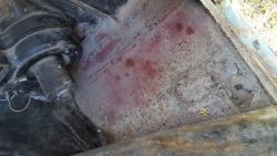 20160319_163340.thumb.jpg.9bde63cc7f9f2b
