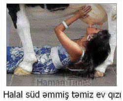 image.jpeg
