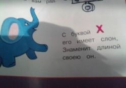 image.jpeg