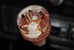 64ff6u-960.jpg