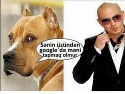 FB_IMG_1468510412260.jpg