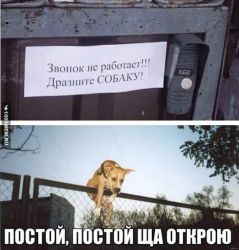 FB_IMG_1471360374789.jpg