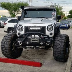 BJ1CXWfA6IV.jpg
