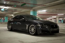 jaguar.jpg