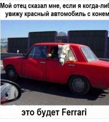 IMG-20161005-WA0001.jpg