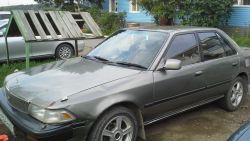 a774e4cs-960.jpg