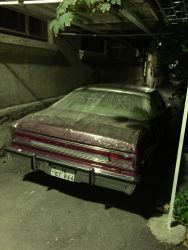 image.jpeg