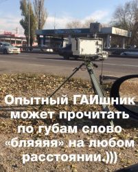 IMG_8249.PNG