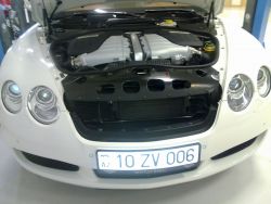 29072010023.jpg