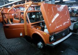 niva123.jpg